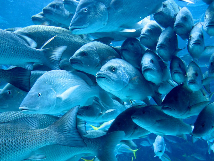 HÃ¬nh áº£nh cÃ³ liÃªn quan