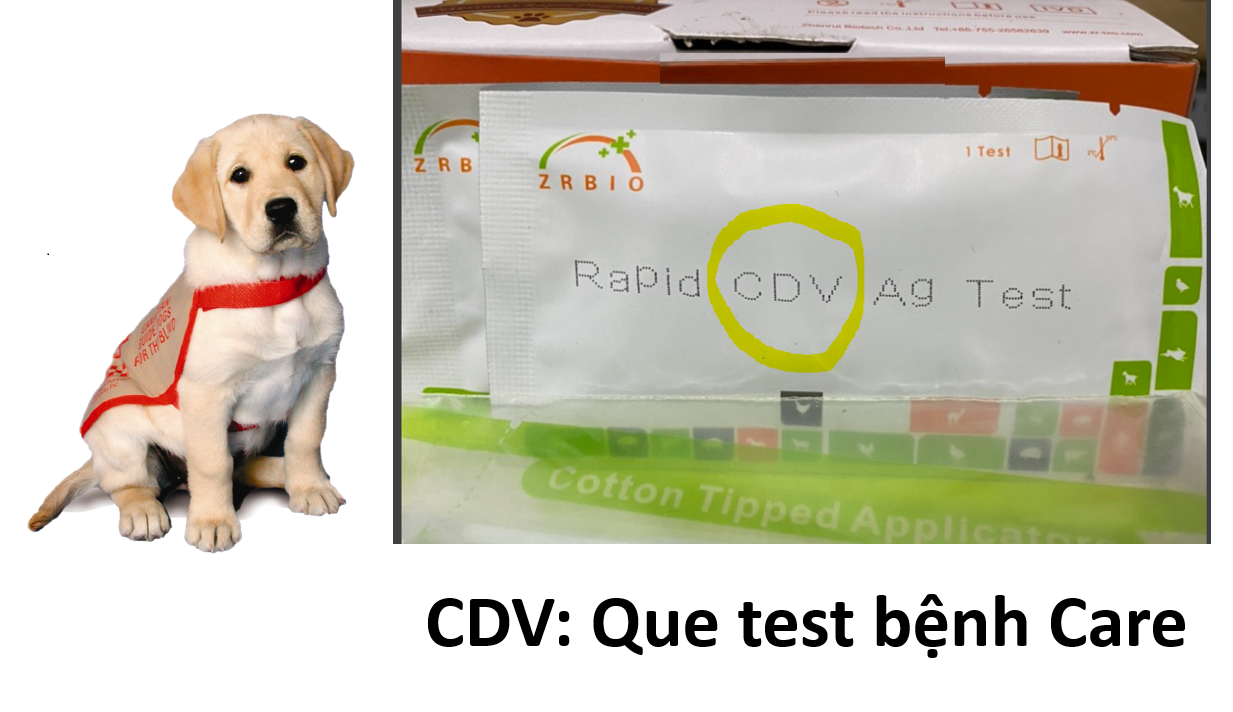 (1 Kít test) Que test bệnh chó mèo dụng cụ xét nghiệm ệnh chó Parvo CPV Care CDV FPV cho mèo