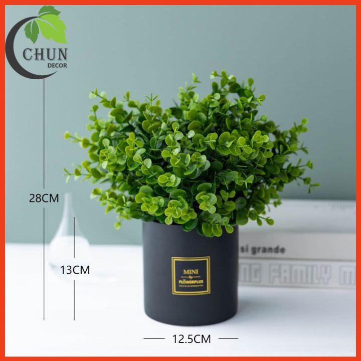 Chậu Lá Kim Tiền Nhân Tạo Xanh Mướt Cao 25-28cm Trang Tí Nhà Cửa, Cửa Hàng, Văn Phòng, Lớp Học