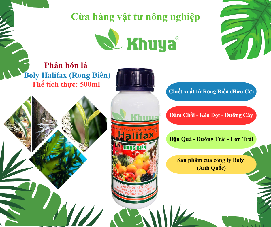 Phân bón lá NPK hữu cơ Boly Halifax Rong Biển Canada Đâm Chồi - Kéo Đọt