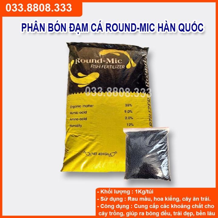 Đạm Cá Hàn Quốc Round Mic 100g - Hàng Tốt Giá Rẻ