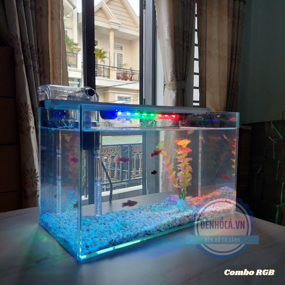 Bể cá mini để bàn COMBO C20RGB -  giá rẻ đầy đủ phụ kiện