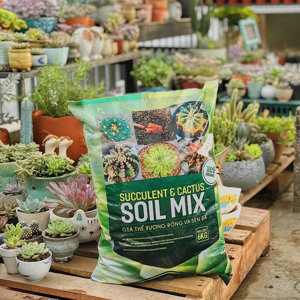 Soil Mix Đất Trồng Sen Đá Xương Rồng - 6kg