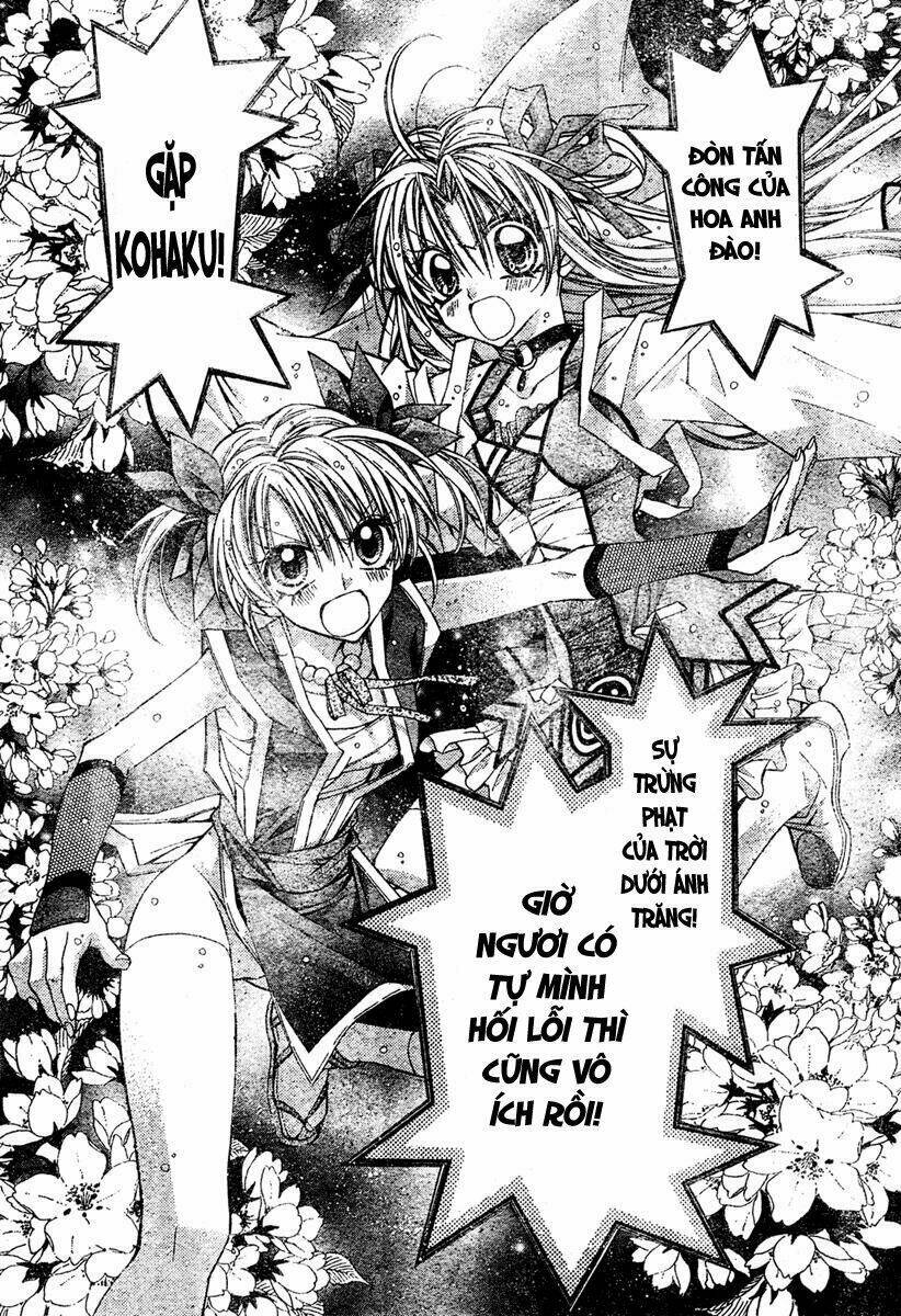 truyền thuyết công chúa hoa anh đào chapter 1 161