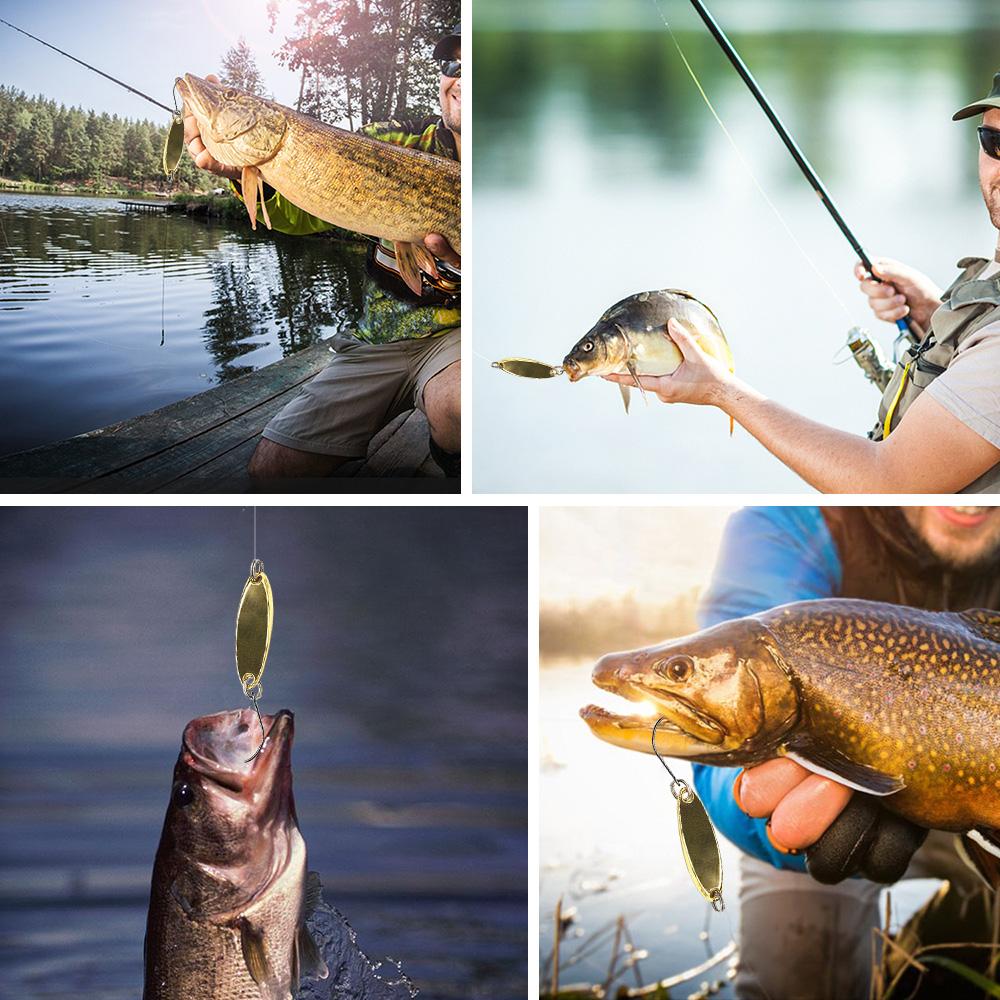 6 cái móc gắn mồi câu cá