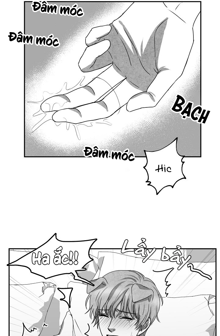 khi cún biết yêu chapter 25 29