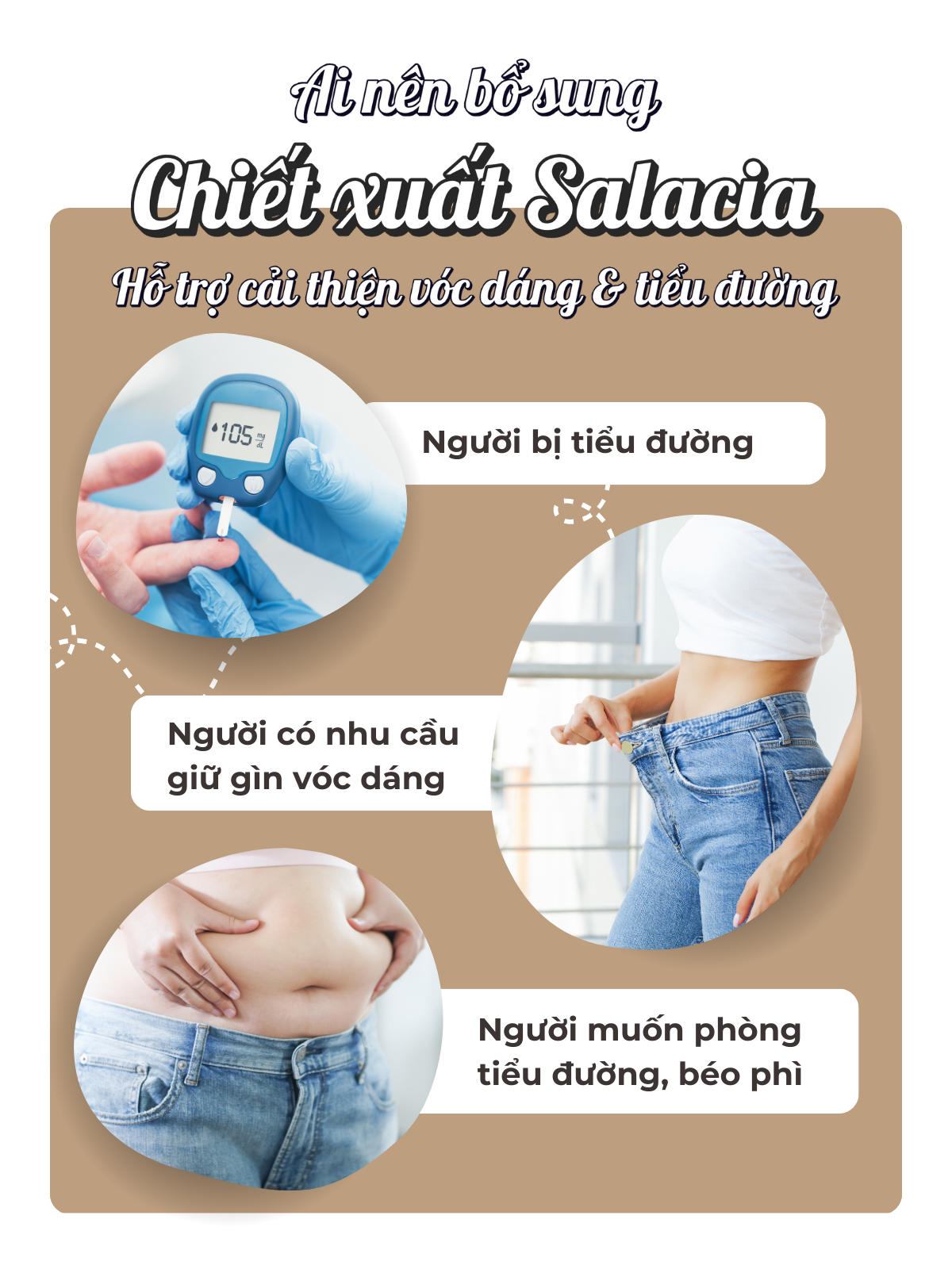 Viên Uống Chiết Xuất Salacia Hỗ Trợ Cải Thiện Vóc Dáng,Tiểu Đường Seedcoms Nhật Bản