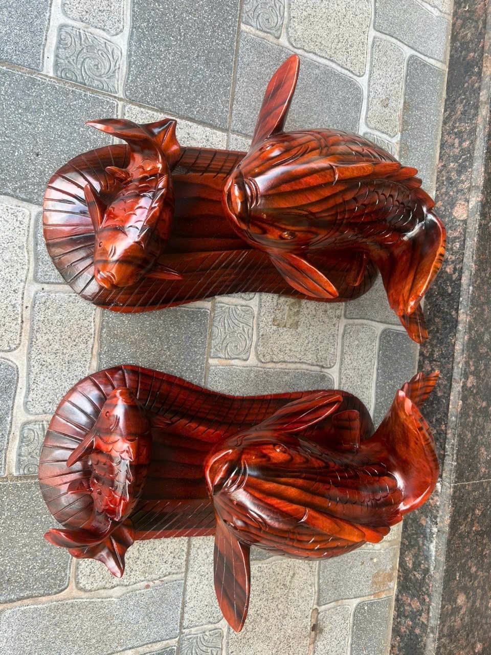 Tượng gỗ phong thuỷ-Tượng cá chép mẫu tử gỗ xà cừ ngang 50 và ngang 60 cm