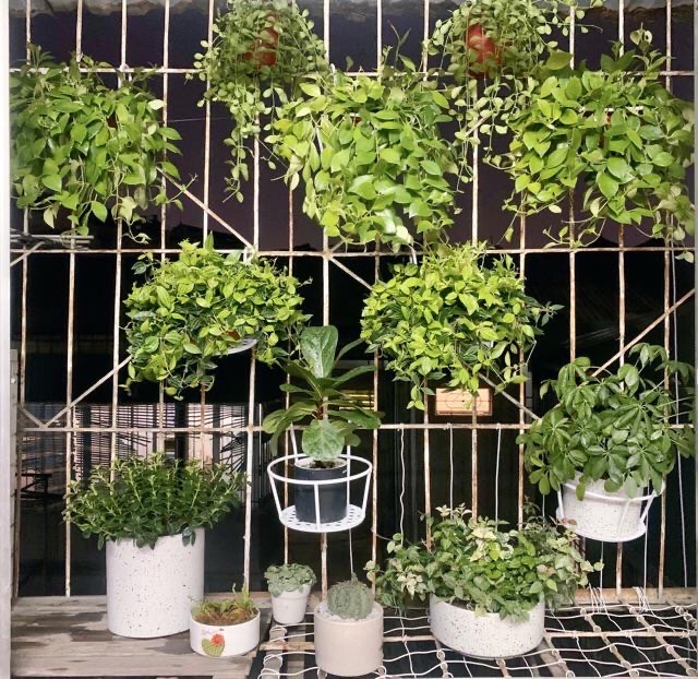 Set 2 giỏ sắt treo chậu cây , kệ để chậu hoa , cây cảnh , có móc treo ngoài ban công xinh xắn tiện lợi