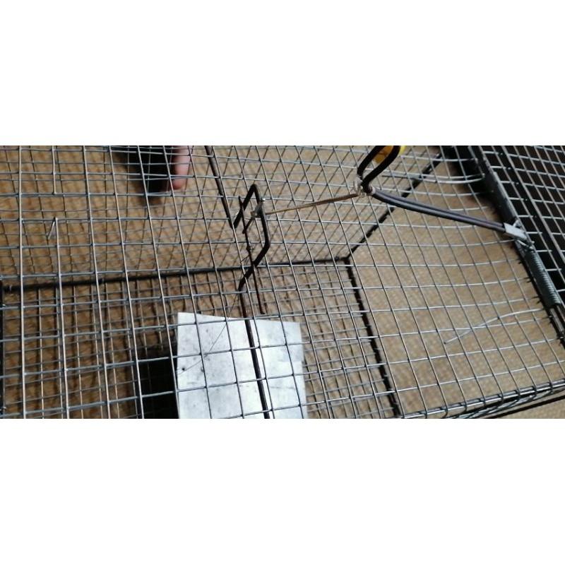 lồng bẫy mèo , sóc, chuột , dúi