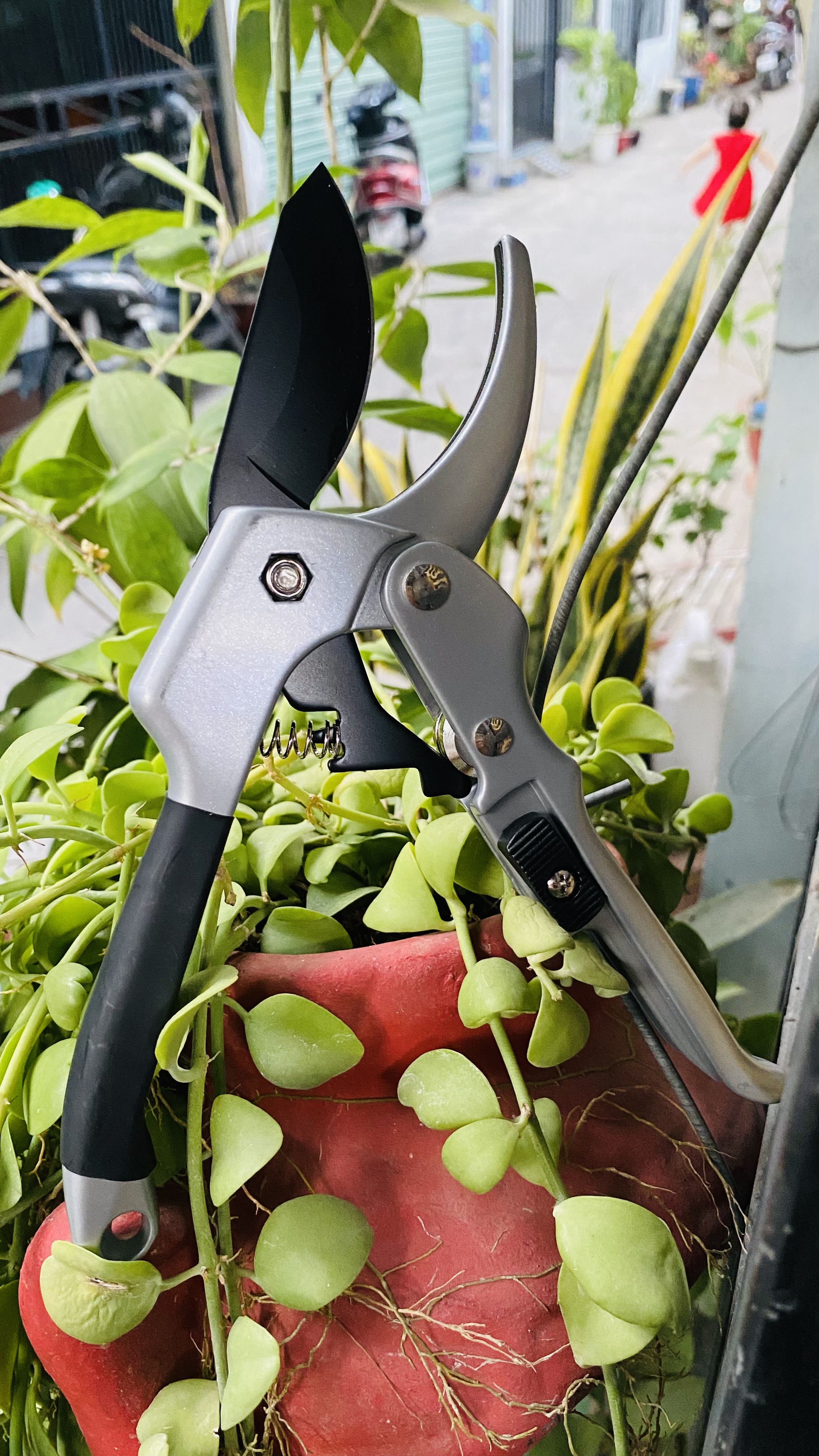 Kéo cắt cành cộng lực sk5 của Nhật