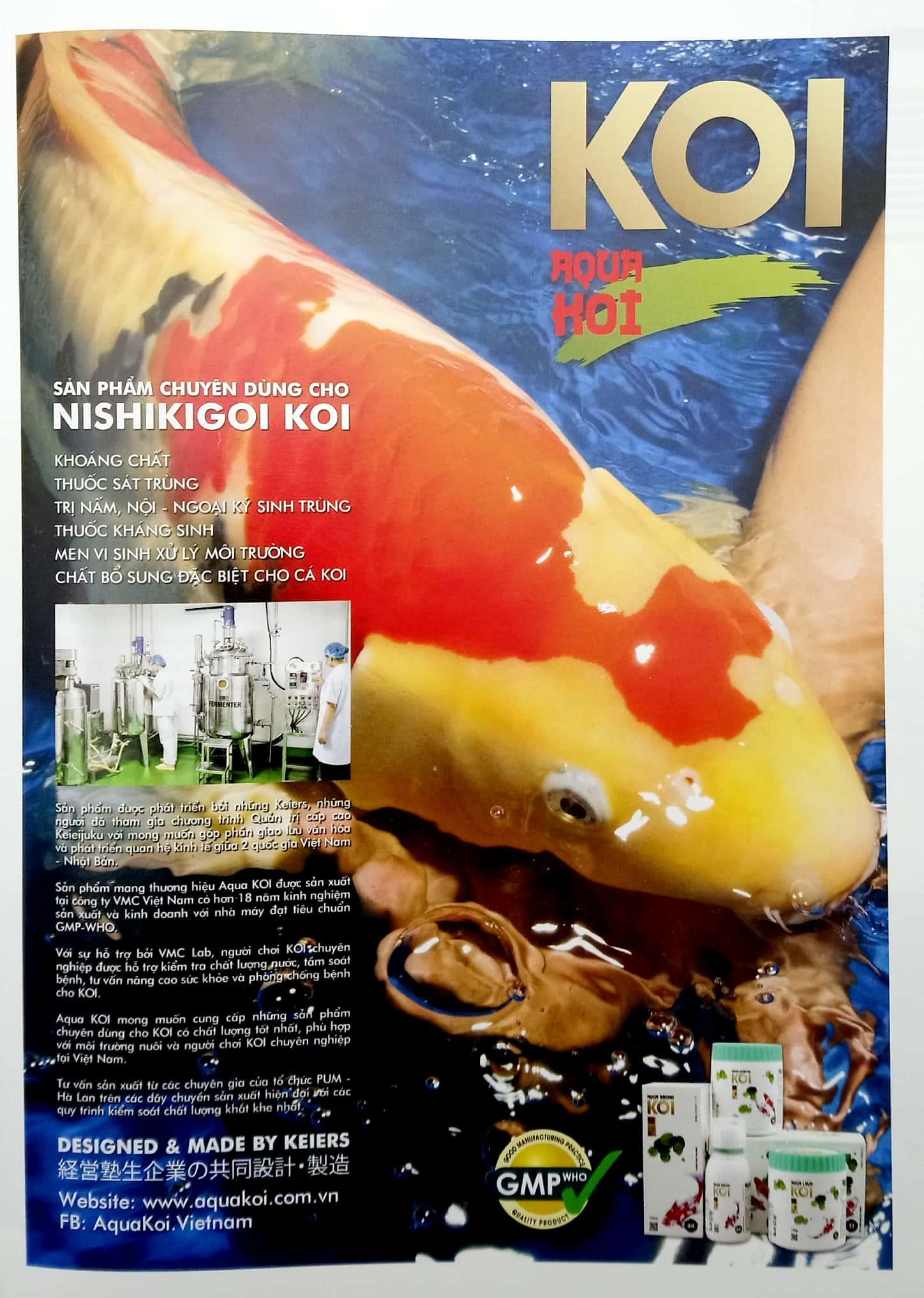 Cá Koi - Tập 15