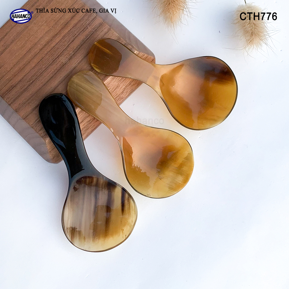 Thìa Xúc Gia Vị Đồ Khô Bằng Sừng HAHANCO Size Nhỏ 9cm_01 Chiếc