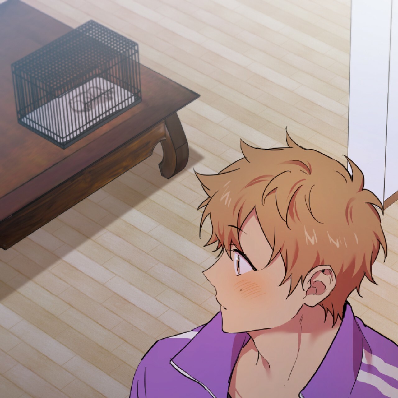 những chú thỏ của hapypy chapter 2 157