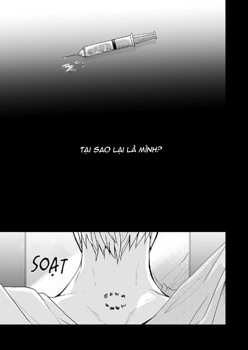 vết cắn tình đầu chapter 1 3