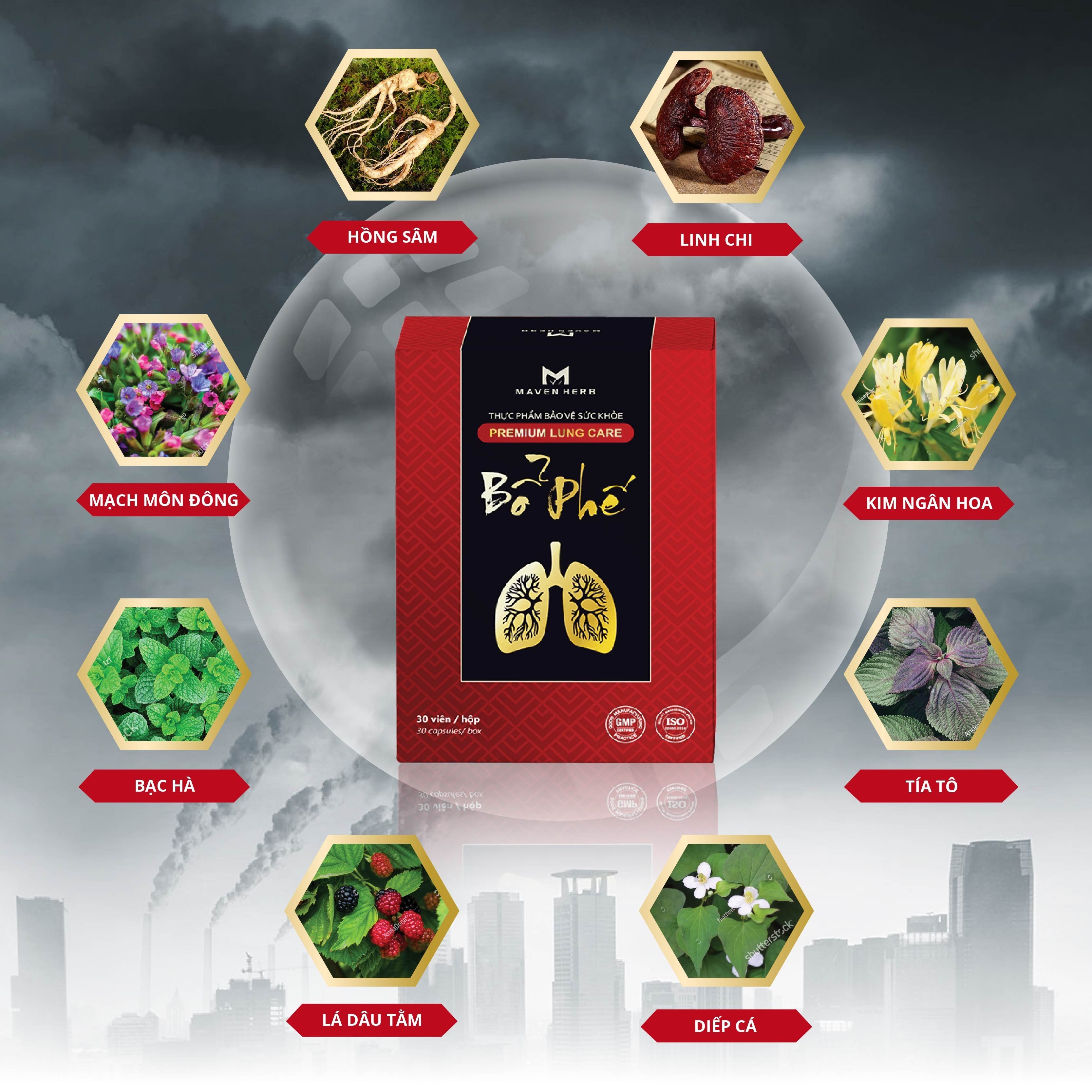 PREMIUM LUNG CARE BỔ PHẾ MAVENHERB