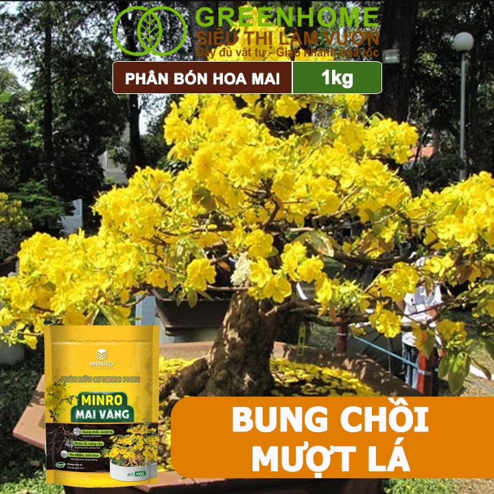 Phân Bón Hoa Mai Greenhome, Minro, Bao 1kg, Hữu Cơ, Dưỡng Cây, Bung Chồi, Mượt Lá, Khoẻ Rễ, Bền Hoa