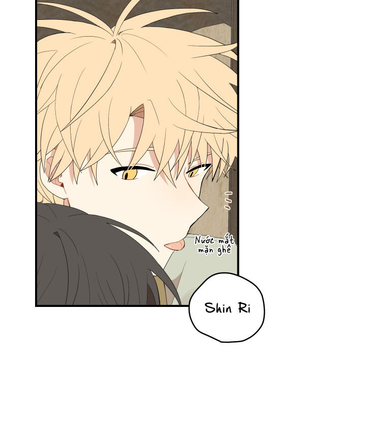 đường hoa liên kiều rơi chapter 21 66