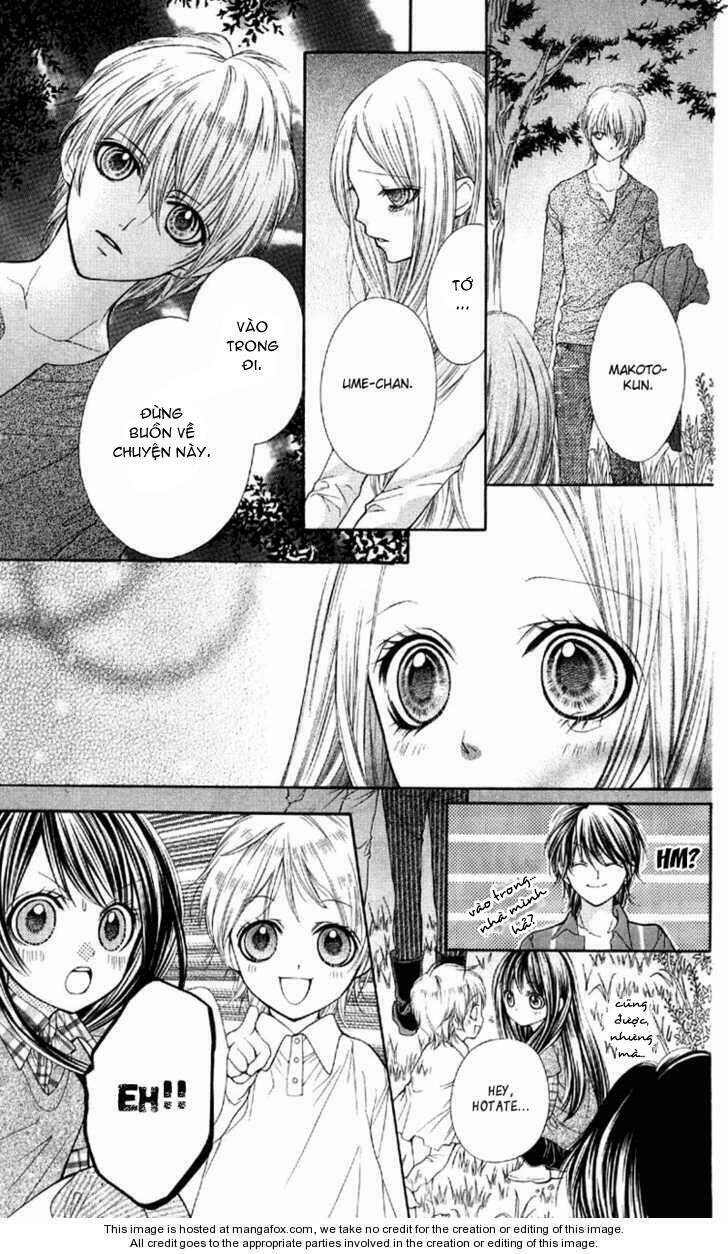 yamamoto zenjirou to moushimasu chapter 6 39