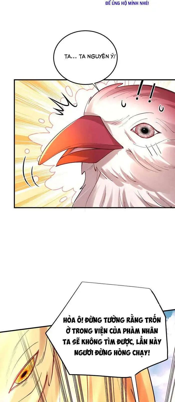 Ta Vô Địch Lúc Nào chapter 0 8