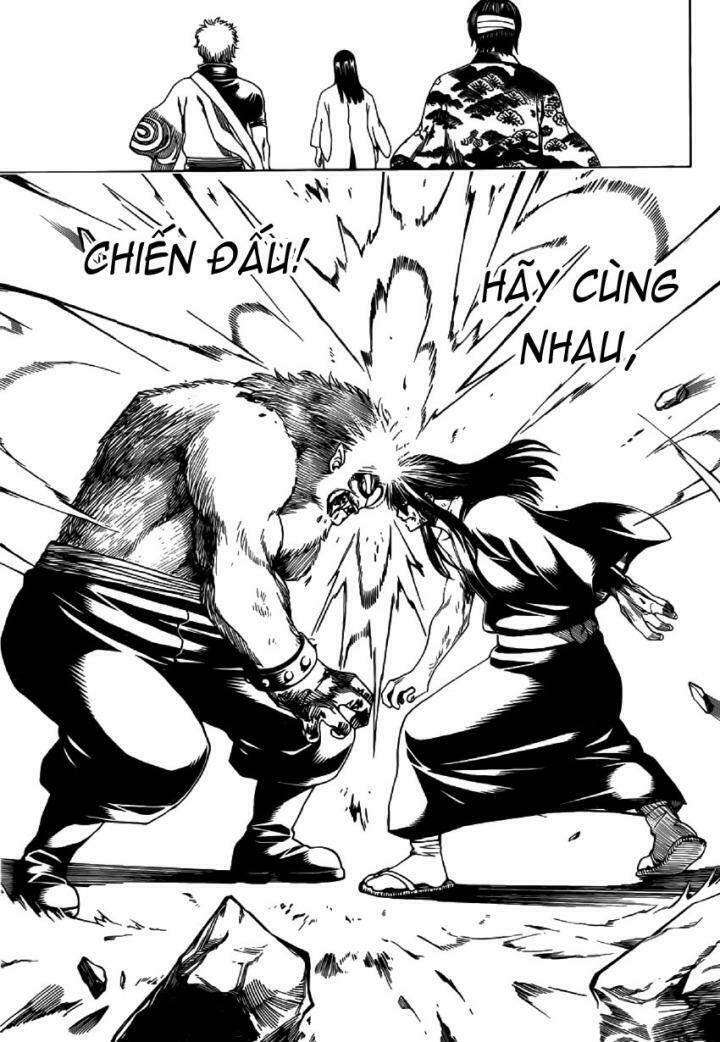 gintama - linh hồn bạc chapter 564 16