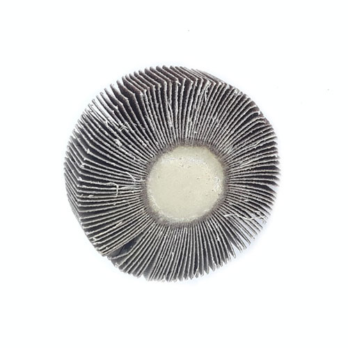 Đá Mài Nhám Kèm Sợi Nỉ Hình Trụ 80mm Chuôi 6mm Chuyên Dụng Cao Cấp