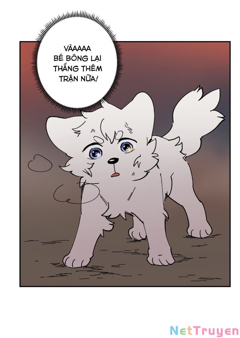 lumine - cội nguồn ánh sáng chapter 112 42