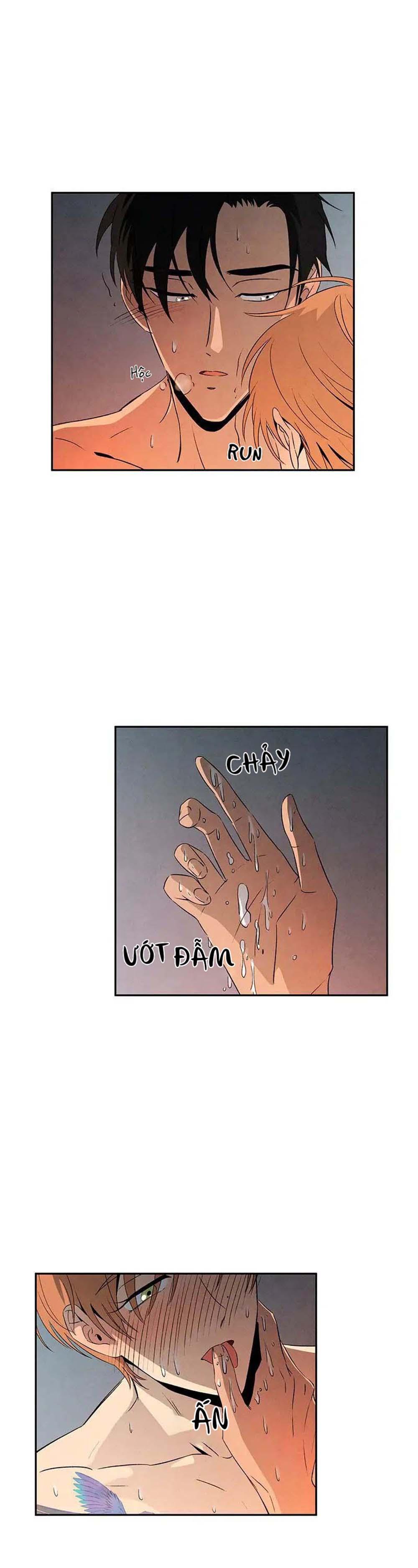 bona sort chapter 11 11