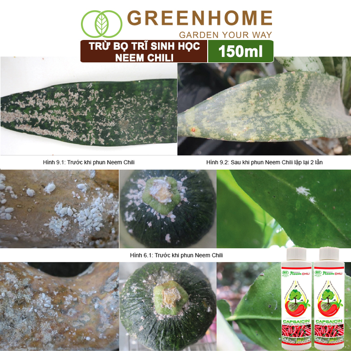 Dầu Neem Oil Sinh Học Greenhome, Neem Chill, 150ml, Kết Hợp Tinh Dầu Tỏi, Ớt, Trừ Bọ Trĩ, Nhện Đỏ, Rầy, Rệp Sáp Cho Cây