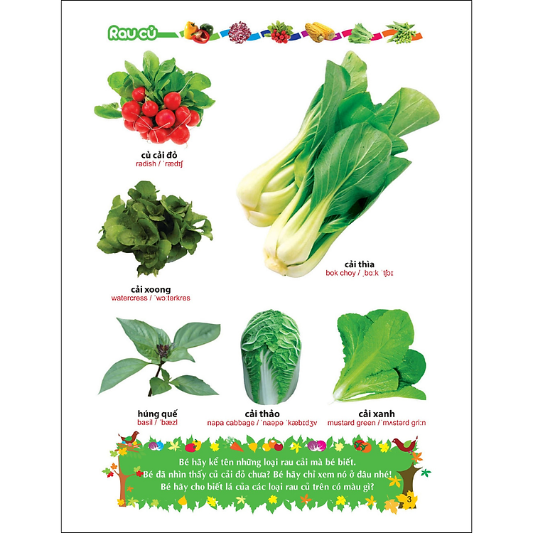 Sách Từ Điển Tranh Về Các