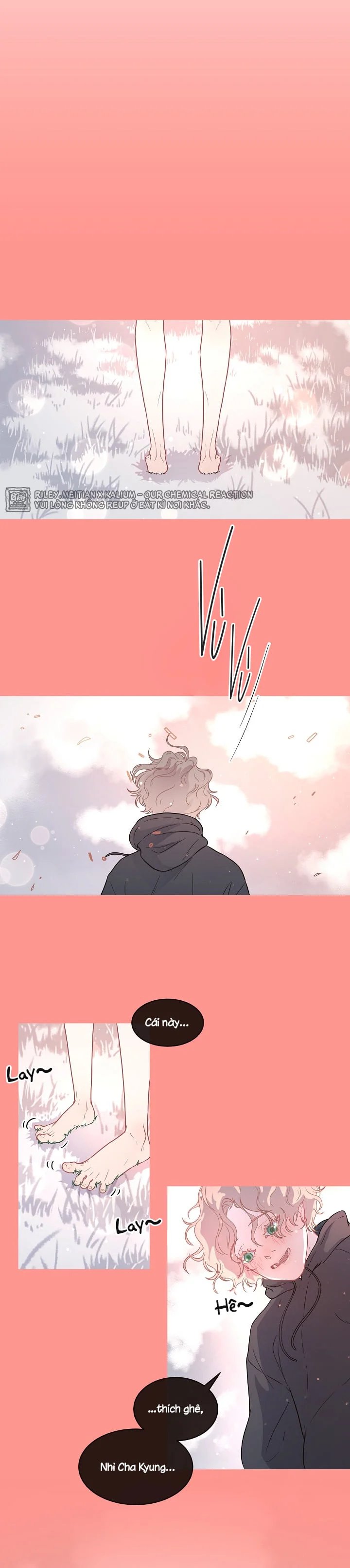 làm cách nào để theo đuổi một alpha? chapter 58 5