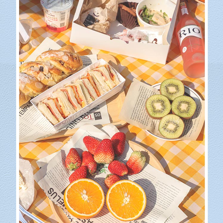 THẢM DÃ NGOẠI, DU LỊCH, PICNIC CAO CẤP - Chống thấm nước, họa tiết caro, gấp gọn tiện lợi - 2 kích thước khách chọn màu!