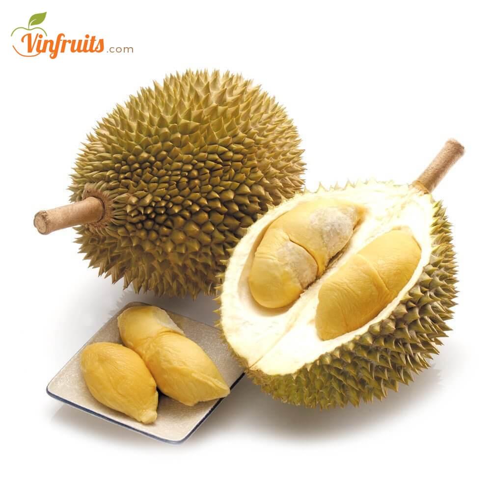 Cây giống SẦU RIÊNG THÁI