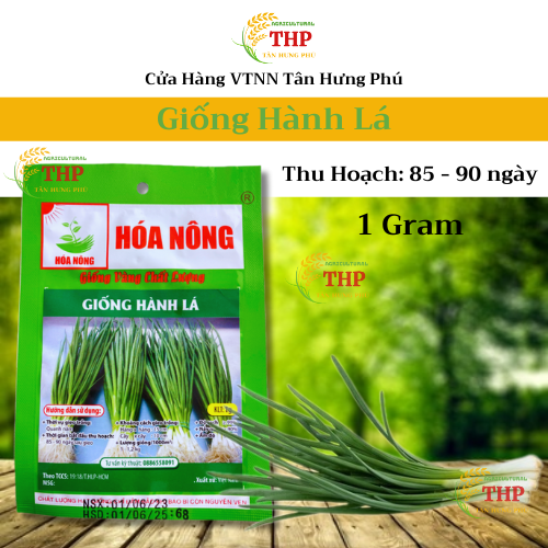 Hạt giống Hành Lá | Hạt Giống | Gói 1gr