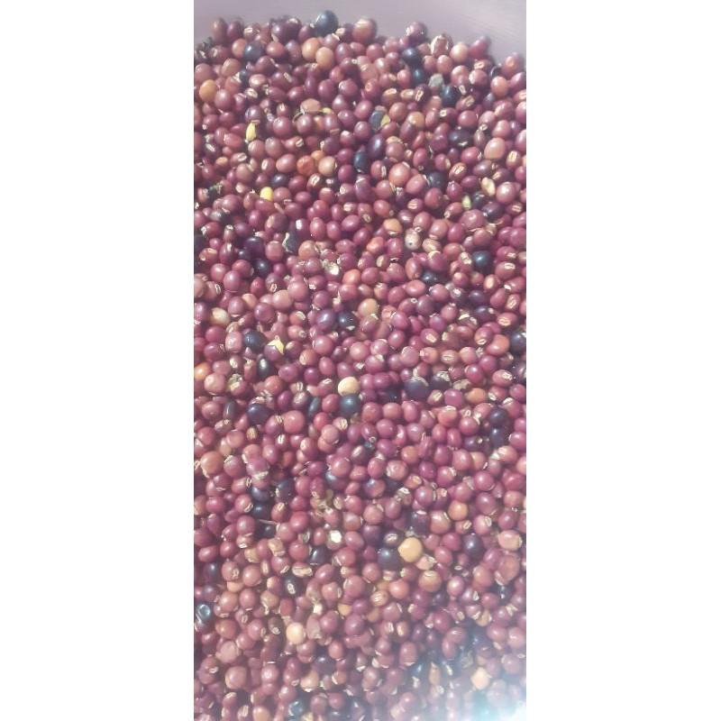 500 gram hạt đậu săng
