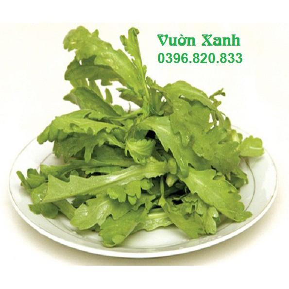Hạt giống cải cúc 15gr