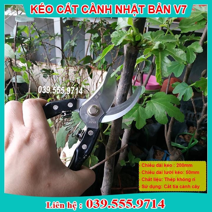 KÉO CĂT CÀNH NHẬT BẢN CÁN ĐEN - KÉO SẮC ĐẸP
