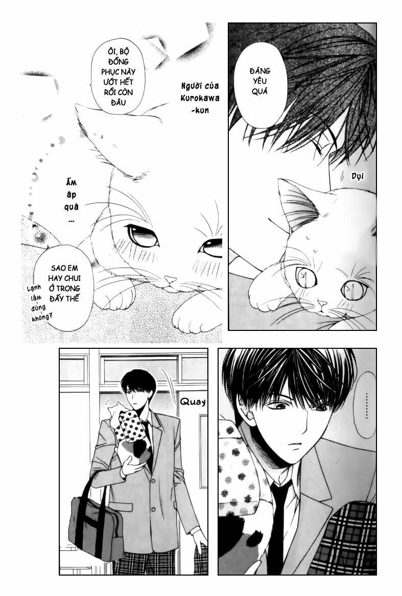 neko neko honey chapter 2 24