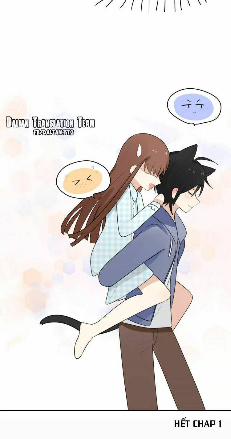 tiểu miêu và hắc diệu thạch chapter 1 52