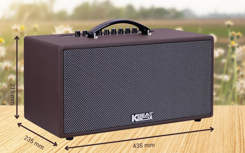 Loa mini Karaoke ACNOS CS391 - Hàng chính hãng
