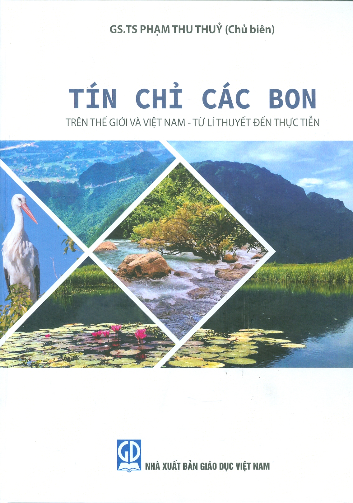 Tín Chỉ Các Bon Trên Thế Giới Và Việt Nam - Từ Lí Thuyết Đến Thực Tiễn (Bìa cứng)