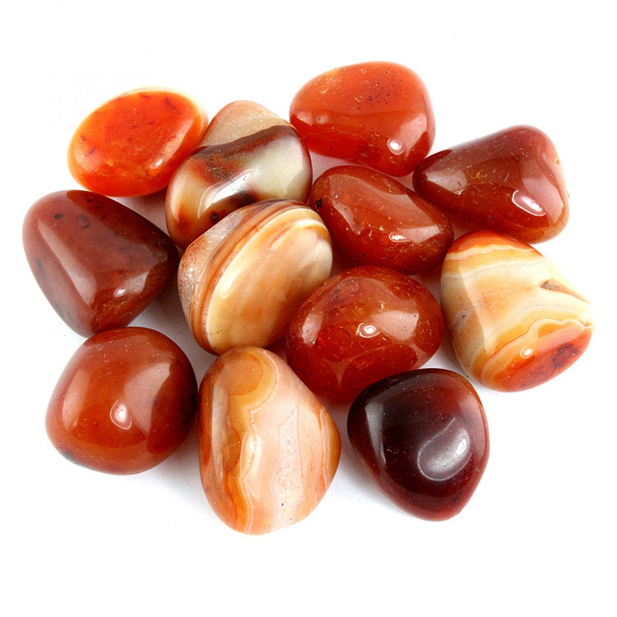 Đá Phong Thủy Thanh Tẩy Đá Carnelian Hóa Thạch ốc Sên