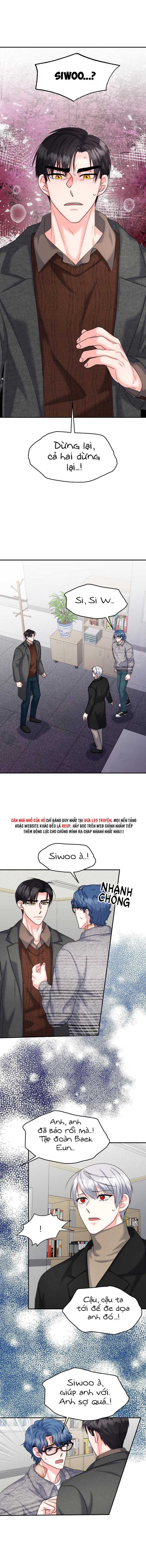 đây là chú thỏ mà bạn (không) đã đặt hàng chapter 22 2