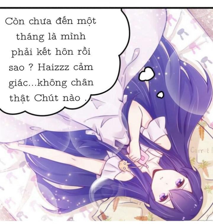 tổng tài đã cưới em chapter 20.1 10