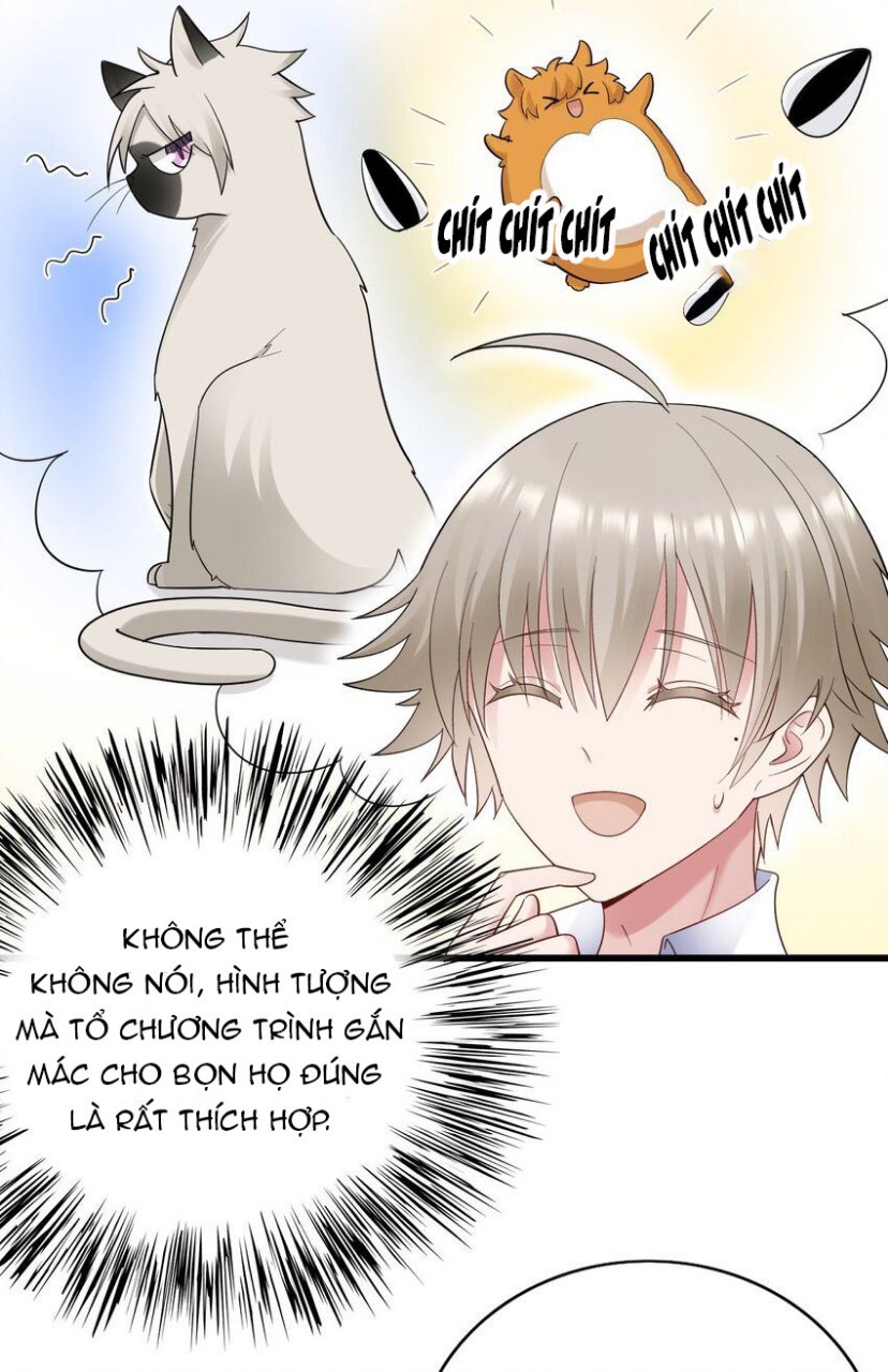 tức thời phạm quy [ tức thì vi quy ] chapter 61 28