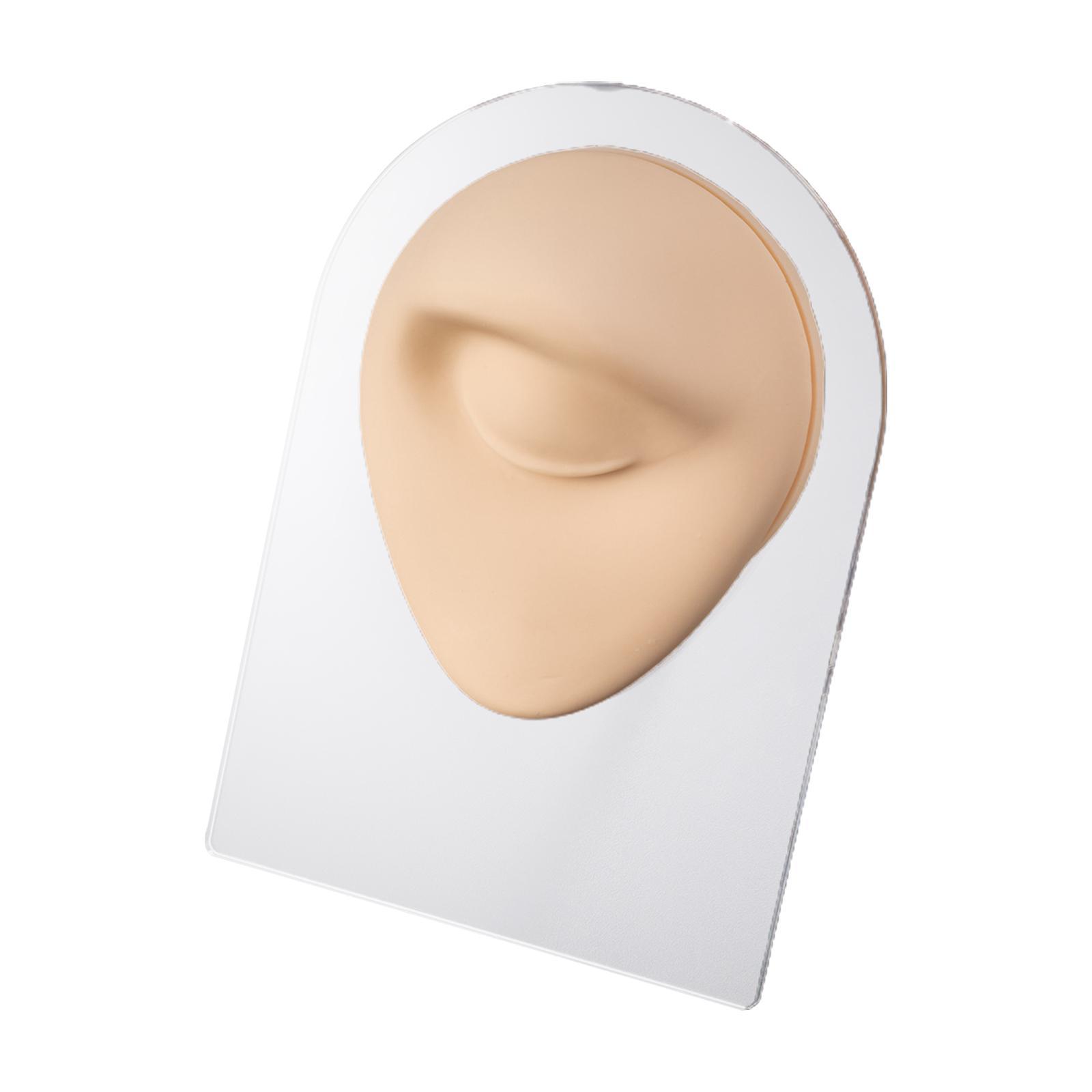 Simulation Silicone Flexible Mouth Model Soft for Teaching Tool Exercise