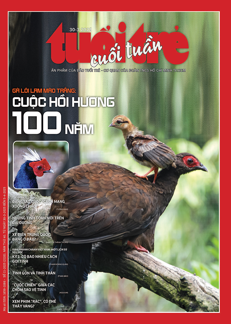 Tuổi Trẻ Cuối tuần số 11 phát hành ngày 30-3-2025