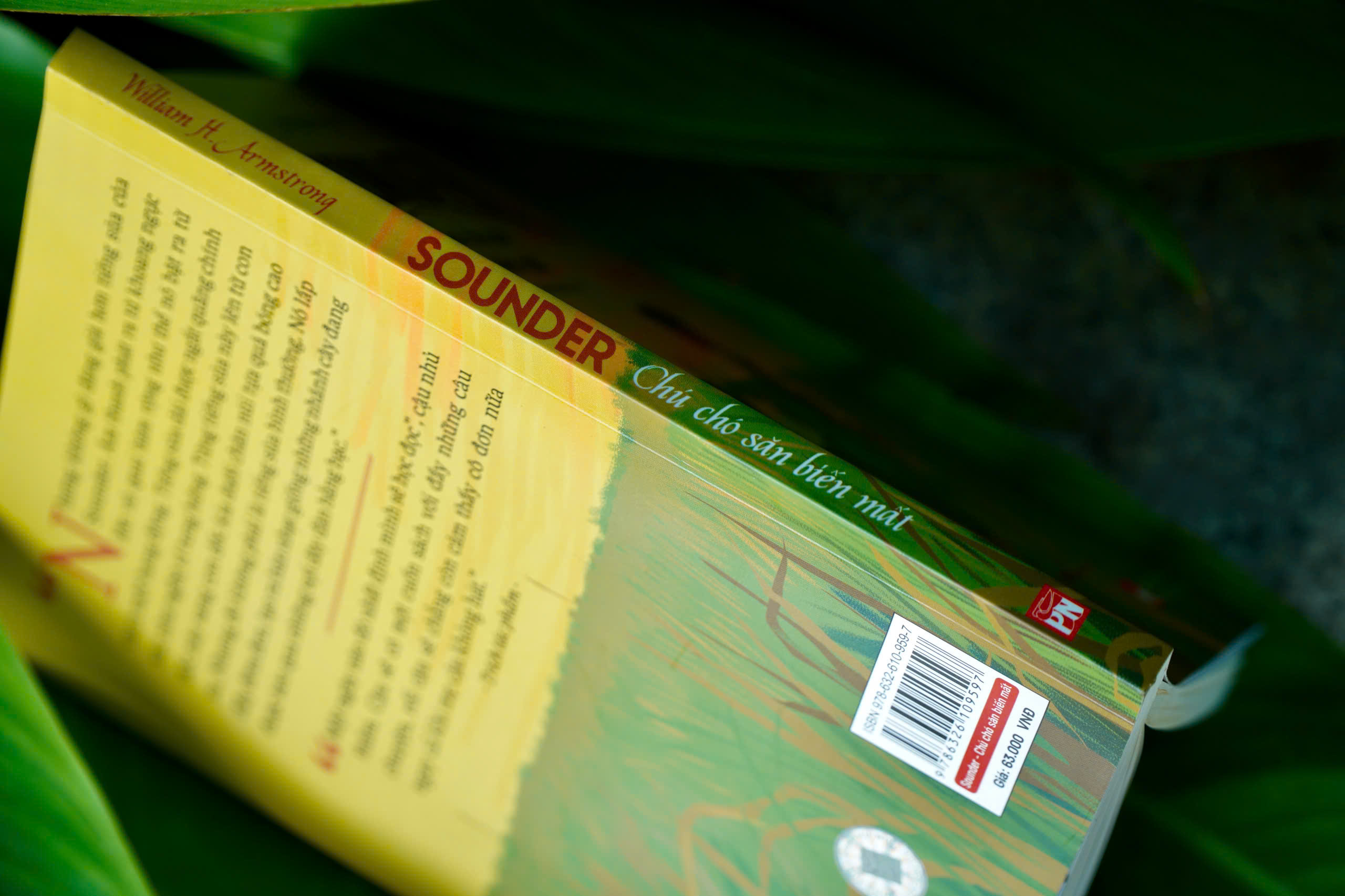 SOUNDER – Chú Chó Săn Biến Mất