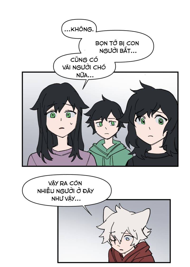 lumine - cội nguồn ánh sáng chapter 155 15