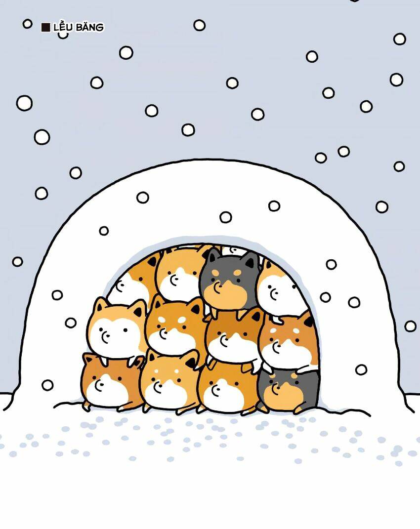 taru shiba chapter 6 14